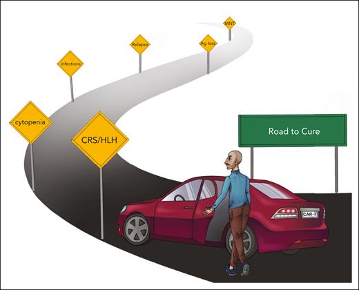 Potential for MM cure with CAR T-cell therapy in early treatment lines. Currently, CAR T-cell therapy is used in advanced disease settings. The benefit for patients is diminished by manufacturing failure/long vein-to-vein time periods, a high rate of (secondary) resistance that leads to relapse. Therefore, only a minority of patients remains in remission long term. In the future, CAR T-cell therapy ought to be implemented early in the disease course, which, we anticipate, will reduce the percentage of patients who are “lost” because of manufacturing failure or primary and secondary resistance and will lead to a fraction of patients who are long-term survivors after MM.