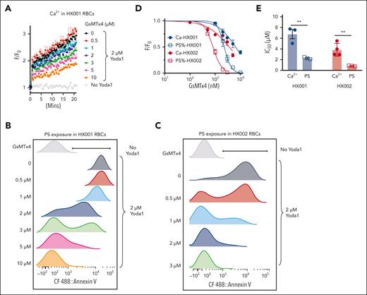 PIEZO1 inhibitor GsMTx-4 breaks PIEZO1-TMEM16F coupling and prevents excessive PS exposure in HX RBCs. (A) GsMTx-4 dose-dependently inhibits Yoda1–induced Ca2+ influx in HX001 RBCs. Error bars represent ± SEM from 3 replicates. (B-C) Representative flow cytometry data of GsMTx-4 inhibition on Yoda1 (2 μM)-induced PS exposure in HX001 (B) and HX002 (C) RBCs. CF488-AnV was used as a fluorescence PS marker. Each concentration of GsMTx4 was repeated in 3 independent experiments. (D) Dose-response curves of GsMTx-4 inhibition on Ca2+ increase (solid circle) and PS exposure (open square) in the RBCs from HX001 (black) and HX002 (red) patients. All signals were normalized to 0 GsMTx-4 condition and fitted with the Hill equation (see “Methods”). (E) IC50 of GsMTx-4 on Yoda1-induced Ca2+ influx and PS exposure in HX001 and HX002 RBCs. Unpaired 2-sided Student t test. ∗∗P < .01, n = 3 to 4 repeats.