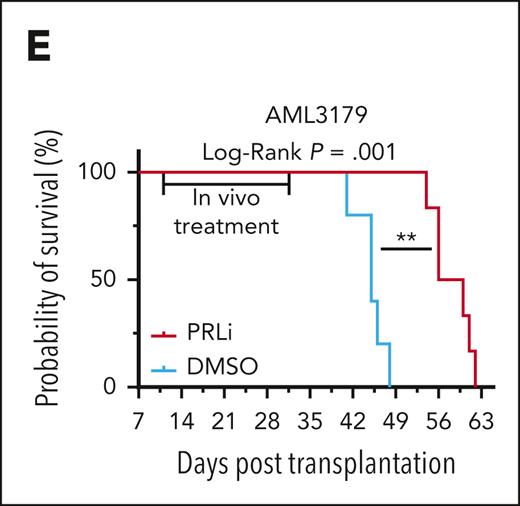 Pharmacological inhibition of PRL2 reduces leukemia burden and extends the survival of mice transplanted with primary human AML cells. (E) Kaplan-Meier survival curve of NSG mice transplanted with 4 × 106 human CD45+ leukemia cells (AML3179) following 3 weeks of DMSO or PRLi treatment (n = 6 mice per group).