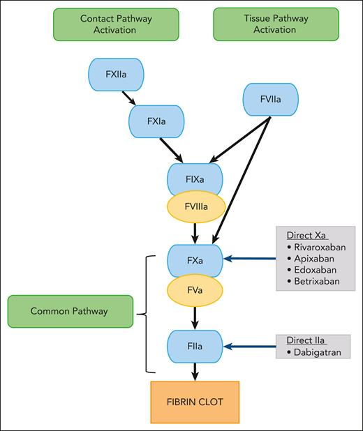 Schematic diagram showing the mechanism of action of DOACs. F, factor.