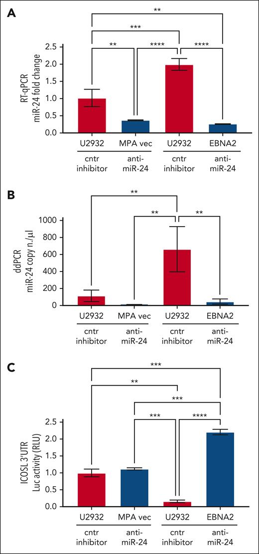 Inhibition of miR-24 in U2932 EBNA2-transfected cells induces ICOSL 3′ UTR luciferase activity. (A) Assessment of miR-24 levels by RT-qPCR in U2932 MPA vector and EBNA2 cells at 48 hours after control inhibitor and anti–miR-24 transfection. RNU6 housekeeping gene was used to normalize miR-24 fold change. (B) ddPCR shows the copy number of miR-24 per μL in each transfection. RNU6 housekeeping gene was used to normalize miR-24 copy number per μL in each sample. (C) Luciferase (Luc) assay was performed at 48 hours after transfection with control (cntr) inhibitors and anti–miR-24 in triplicates for each sample. Increased activity of ICOSL 3′ UTR is observed after inhibition of miR-24 in U2932 EBNA2 cells. Luc activity was measured as relative luminometer units (RLU) ratio between ICOSL 3′ UTR and the control 3′ UTR, to normalize RLU for each sample. The histogram demonstrates fold change in luc activity compared with U2932 MPA vector transfected with the cntr inhibitor. All experiments were repeated at least 3 times. One-way ANOVA and Tukey multiple comparisons test was applied to evaluate statistical significance; ∗∗P < .01, ∗∗∗P < .001, ∗∗∗∗P < .0001.