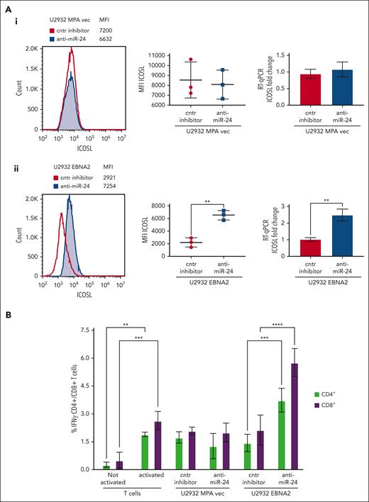 Inhibition of miR-24 reconstitutes ICOSL expression and restores tumor immunogenicity in a MLR assay. (A) ICOSL MFI after anti–miR-24 expression in (Ai) U2932 MPA vector transfected with control inhibitor and anti–miR-24. The middle panel shows ICOSL MFI in 3 independent flow cytometry experiments as whiskers. The right panel shows fold change in ICOSL mRNA expression by RT-qPCR after anti–miR-24 transfection. GAPDH was used as a housekeeping gene. (Aii) An increase in ICOSL after inhibition of miR-24 expression in U2932 EBNA2. Three independent experiments by flow cytometry show statistically significant increase of ICOSL (middle panel), also confirmed by mRNA RT-qPCR (right panel). P values were calculated through 2-tailed unpaired t test; ∗∗P < .01, ∗∗∗P < .001, ∗∗∗∗P < .0001. (B) MLR to evaluate T-cell activation as result of ICOSL reconstitution after miR-24 downregulation. T cells were activated for 72 hours in plates coated with anti-CD3/anti-CD28 antibodies. Irradiated U2932 MPA vector and U2932 EBNA2 were cocultivated with activated T cells (effector). The effector-to-target ratio was 1:10. The target cells were transfected with control inhibitor or anti–miR-24 molecules before cocultivation with the effector cells. The coculture was carried out for 48 hours, and the cells were stained for CD4/CD8 and IFN-γ and processed for flow cytometry. All experiments were repeated at least 3 times and with peripheral blood mononuclear cells (PBMCs) from 3 healthy donors. Statistical analysis was performed with two-way ANOVA and Tukey multiple comparisons test; ∗∗P < .01, ∗∗∗P < .001, ∗∗∗∗P < .0001.