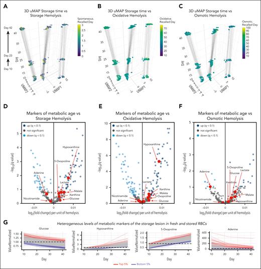 Metabolic markers of the storage lesion are poor correlates to hemolytic propensity in the REDS RBC Omics recalled donor cohort. (A-C) 3D uMAPs are color coded as a function of storage (spontaneous), oxidative, or osmotic hemolysis in the REDS RBC Omics recalled donor cohort (z-axis represent storage day, with uMAP1 and 2 calculated via uMAP). (D-F) Volcano plots indicate metabolite associations to the same hemolysis parameters, with the x-axis indicating the Spearman-determined correlation between hemolysis and metabolite levels and the y-axis indicating the −log10 of the false discovery rate–corrected P values for such associations). (G) Line plots indicate the donors in the 5th and 95th percentile (red and blue lines) for a selected metabolic markers of the storage lesion across the 3 time points (storage day 10, 23, and 42) tested for each donor (n = 643).