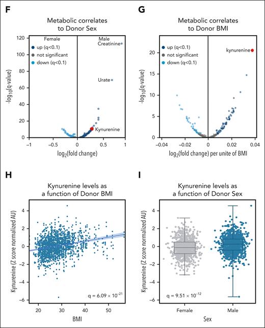 Kynurenine is a marker of osmotic fragility of stored RBCs and is affected by donor age, BMI, and sex. Machine-learning approaches were used to determine metabolic predictors of osmotic fragility of stored RBCs. Results identified kynurenine as the top predictor (A), which was confirmed via a Spearman correlation analyses (B). (C) Scatterplot of osmotic fragility vs kynurenine: x-axis and y-axis, respectively. (D-I) Volcano plots, scatter plots, or box and whisker plots showing the strong positive association between kynurenine levels and donor age, sex, and BMI. AC, acyl-carnitine; AU, arbitrary unit.