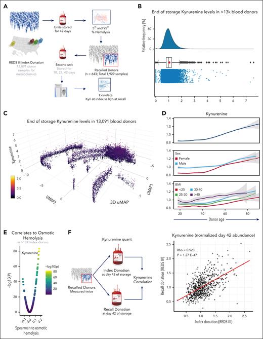 Measurement of kynurenine levels in 13 091 donors from the REDS RBC Omics index cohort. (A) Kynurenine measurements were performed on 13 091 end-of-storage (day 42) pRBC units from the REDS RBC Omics index donor cohort. (B) Kynurenine levels were found to be nonnormally distributed in this population. (C) 3D uMAP of the 13 091 donors, based on metabolomics analyses (informing uMAP1 and uMAP2) and kynurenine levels (z-axis and color scheme). This analysis highlights a subset of donors with significant elevation in kynurenine levels compared with the rest of the population. (D) Line plots show kynurenine levels (y-axis) as a function of donor age (x-axis), either alone (top) or as a function of donor sex (middle) or BMI (bottom). (E) Kynurenine levels rank among the top correlates to osmotic fragility in the index donor cohort. (F) Correlation analyses were performed for end-of-storage (day 42) kynurenine levels of the 643 donors who were screened both at index and recalled donation (2 independent blood units). Results indicated a significant level of reproducibility for kynurenine within the same donor across multiple donations in panel F. Kyn, kynurenine.
