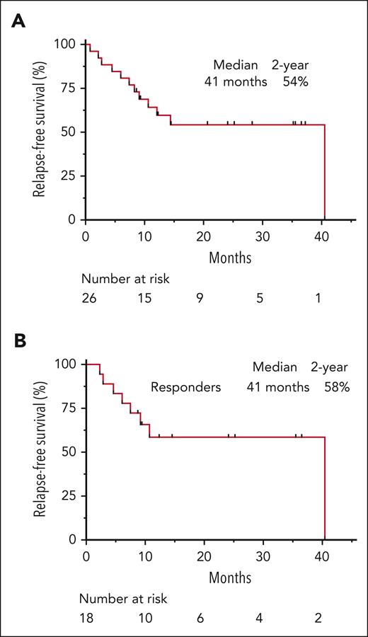 Percentage of patients surviving without disease relapse in the entire cohort (A) and among responders (B).