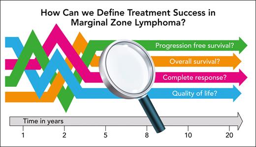 Multiple approaches to defining success in MZL. Professional illustration by Patrick Lane, ScEYEnce Studios.