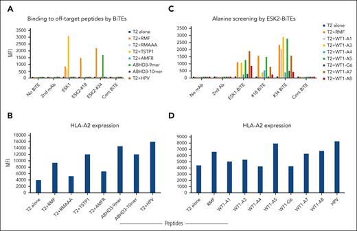 Binding of the ESK2 clone no. 18 and no. 34 and specificity of the epitope. (A) Binding of clones to T2 cells pulsed with or without indicated peptides. WT1 RMF or mutant peptides at a concentration of 50 μg/mL were pulsed onto T2 cells overnight. Cells were washed and stained with BiTEs of ESK2 clone no. 18 and no. 34 or ESK1 at 1 μg/mL. T2 cells alone or pulsed with irrelevant HLA-A2–binding peptide HPV-E7 (39) were used as controls. (B) In parallel, HLA-A2 expression was determined by staining the cells with the anti–HLA-A2 mAb BB7 clone. (C) WT1 RMF sequences were substituted with alanine at positions 1, 3, 4, 5, 7, and 8, or with glycine at position 6 indicated as WT1-A1 to WT1-A8 or WT1-G6, respectively (supplemental Table 1) and the binding of (C) ESK2-clone no. 18 and no. 34 and (D) HLA-A2 was determined by flow cytometric analysis. The data are representative results from 6 similar experiments. HPV, human papilloma virus.