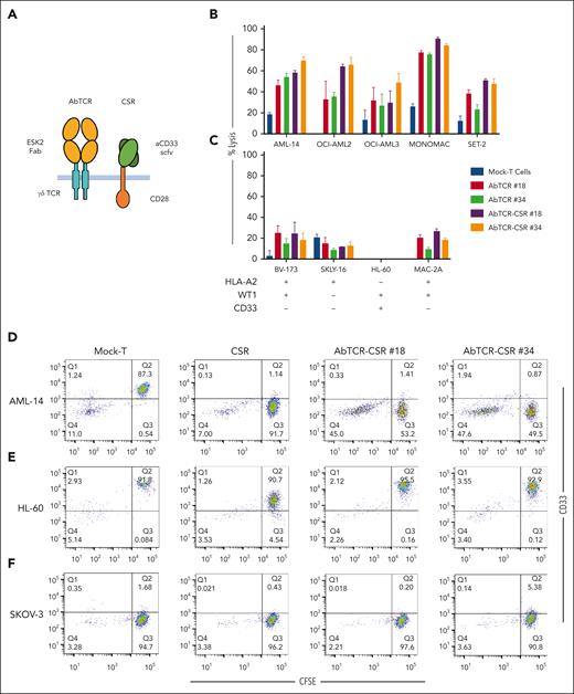 Cytotoxicity of AbTCR or AbTCR-CSR against AML cells. (A) A cartoon depicting the design of the AbTCR and the costimulatory receptor CSR only, which, together, form the AbTCR-CSR. AbTCR is the primary signal, CSR is the secondary signal. The combination is known as ARTEMIS 2.0. ESK2 AbTCR or ESK2 AbTCR-CSR T cells (B-C) were incubated with the indicated leukemia target cells at an E:T ratio of 1:1, overnight. The cytotoxicity was measured by luciferase-based assay. Each data point was the average of triplicate cultures ± standard deviation, and representative of 3 similar experiments with different donors. To test whether the cytotoxicity of AbTCR-CSR T cells required the primary signal, (D) AML-14, (E) HL-60, or (F) SKOV3/A2 cell lines were labeled with CFSE, washed, and incubated with mock T cells, CSR cells (ESK2 is replaced with an irrelevant Fab AbTCR as the recognition receptor), ESK2 AbTCR-CSR T cells no. 18, or ESK2 AbTCR-CSR T cells no. 34 at an E:T ratio of 1:1, overnight. The cells were harvested, washed, and stained with mAb to CD33 and subjected to flow cytometry. The analysis was performed by gating on larger tumor cells based on forward and side scatters, and the percentage of CD33+ cells was shown in the CFSE+ target population.