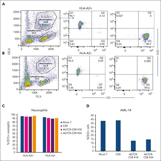 No cytotoxicity of AbTCR-CSR against neutrophils from normal donors. (A) Neutrophils from HLA-A∗02:01–positive donor or (B) HLA-A∗02:01–negative donor were isolated using a human whole-blood neutrophil isolation kit (Miltenyi) and incubated with mock T cells, CSR only, or AbTCR-CSR clone no. 18 or no. 34 at an E: T ratio of 1:1, overnight. The cells were stained with CD15 (for neutrophils) or CD3 (AbTCR-CSR T cells). The percentage of CD15+CFSE+ cells after coculture are shown in panel C and the positive control cell line AML-14 is shown in panel D. Because AML-14 cells do not express CD15, CD33 was used for its marker. The data represents 1 set of results from 4 independent donors.