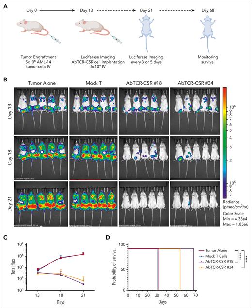 AbTCR-CSR therapeutic trial in an AML animal model. (A) Human AML cell line AML-14 cells (5 million) were injected IV into NSG mice and leukemia engraftment was confirmed on day 13 by bioluminescent imaging. (B) AbTCR-CSR clone no. 18, AbTCR-CSR clone no. 34, or control mock T cells (6 million cell per mouse) were injected IV, and tumor burden was monitored by BLI on days 18 and 21. (C) Mean tumor burden was calculated by summing the luminescence signal of each mouse and presenting the average signal for each group (n = 5 per group). (D) Survival of mice from experimental groups; a comparison of the differences of clone no. 18 or no. 34 vs the 2 control groups was performed using the Mantel-Cox test; ∗∗∗∗P < .0001.