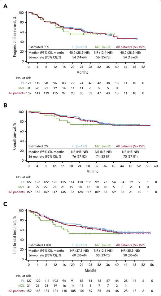 PFS, OS, and TTNT. Kaplan-Meier estimates of (A) PFS, (B) OS, and (C) TTNT by investigator assessment based on the disease type among the 159 enrolled patients with iNHL. mo, month; NE, not estimable; NR, not reached.