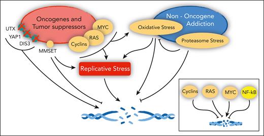 Cancer genes and the DNA damage response in MM. Oncogenes and tumor suppressors implicated in the control of replicative stress, DNA damage, and DNA repair in MM (left). (Right) Pathways engaged in MM that also affect the same pathways. In the inset, the overall net effect of major deregulated oncogenes and tumor suppressors on DNA damage in MM, as detailed in the text.
