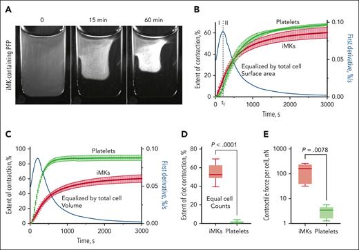 The clot contraction assay showing iMK-driven shrinkage of macroscopic plasma clots and comparative iMK and platelet contractility. (A) Representative snapshots of an iMK-containing plasma clot before contraction at zero time point as well as at 15 and 60 minutes after the onset of contraction (see supplemental Video 1). (B) Averaged contraction kinetic curves for the iMK-containing clots (red) and PRP clots (green) equalized by the cell surface area (M ± SD, n = 5). The clot contraction driven by iMKs is segregated into phases 1 and 2 defined by the local extremum of the first derivative (blue line). (C) Averaged contraction kinetic curves for the iMK-containing clots (red) and PRP clots (green) equalized by the total cell volume (M ± SD; n = 5), which reveal superb biomechanical efficacy of platelets compared with iMKs. The cell counts in plasma (B-C) were adjusted such that iMKs and platelets before clot formation and contraction (100 μL initial plasma or clot volume) had about the same total cell surface area (∼250 mm2) (B) or volume (∼0.52 mm3) (C). Equalization by the total cell surface area and volume are described in “Clot contraction assay.” (D-E) Plots showing the final extents of contraction (D) in the iMK-containing plasma clots and PRP clots that were equalized by the cell counts, and comparative contractility of individual iMKs vs single platelets (E). M, mean; SD, standard deviation.