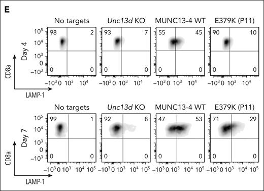 Functional properties of MUNC13-4 mutants identified in case #1 (P6) and #2 (P11) and reconstituted in Unc13d KO mouse CTLs. (E) Degranulation assay, as measured by LAMP-1/CD107a externalization of Unc13d deficient mouse CTLs transduced with E379K-MUNC13-4, using SIINFEKL peptide-pulsed EL4 target cells.