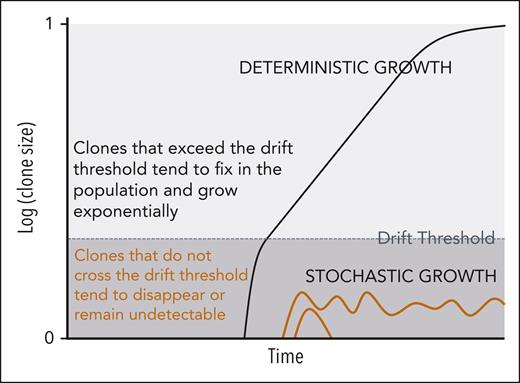 Two-phase model of hematopoietic clonal growth. The likelihood of a clone transitioning from stochastic to deterministic growth is proportional to its fitness. Clones with no fitness advantage (eg, orange trajectories) are unlikely to exceed their drift thresholds and tend to disappear or remain undetectable. Fitter clones (eg, black trajectory) are more likely to reach deterministic growth.