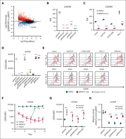 Decreased expression of CXCR4 by cBAF inhibition impairs leukemic cell migration toward CXCL12. (A) MA plot showing differentially expressed genes in SMARCA4/2 knockout Jurkat cells. Significantly (adjusted P < .05) upregulated and downregulated genes are highlighted in red and blue, respectively. Genes identified in the migration screen (Figure 1B) are circled in black. (B-C) CXCR4 expression levels in the indicated knockout Jurkat cells (B) and BRM014-treated T-ALL cell lines (C) by RNA-seq analysis. Data are shown as mean ± SD (n = 3). (D) Cell surface CXCR4 expression on the indicated knockout Jurkat cells. Expression was determined by flow cytometry. Data are shown as mean ± SD (n = 3). (E) Cell surface CXCR4 expression on T-ALL cell lines and T-ALL PDX cells treated with BRM014 for 2 or 4 days. Expression was determined by flow cytometry. (F) Cell surface CXCR4 expression on Jurkat cells after BRM014 withdrawal. Expression was determined by flow cytometry. (G) Cell surface CXCR4 expression on the indicated knockout Jurkat cells with exogenous CXCR4 or control cDNA expression. Data are shown as mean ± SD (n = 3). (H) Migration activity toward CXCL12 of the indicated knockout Jurkat cells with exogenous CXCR4 expression. AAVS1 knockout cells were used as a control. Data are shown as mean ± SD (n = 3). Two-tailed Student t tests were used to assess statistical significance in panels B, C, D, F, G, and H (∗∗∗P < .001; ∗∗P < .01; ∗P < .05; n.s., not significant). MA, log ratio and mean average; RNA-seq, RNA sequencing; SD, standard deviation.