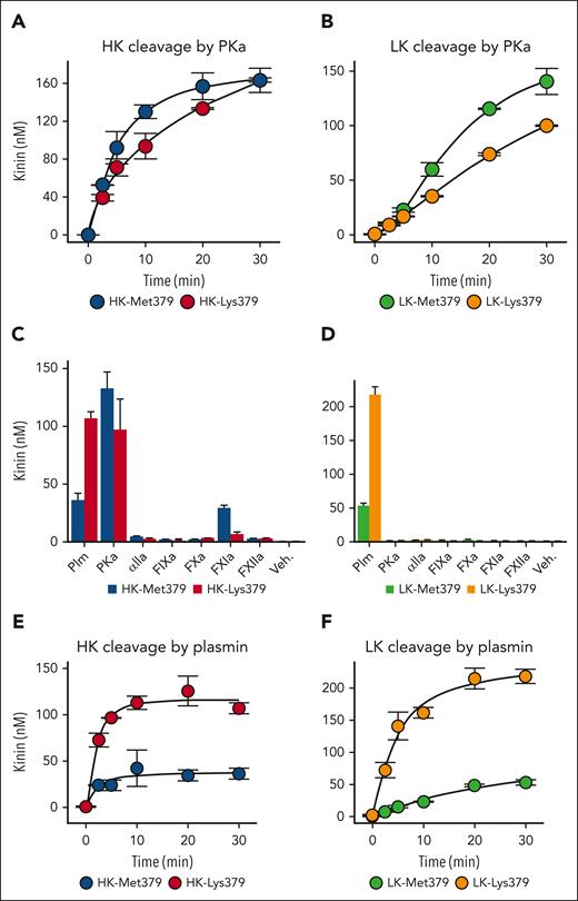 Kinin generation from recombinant HK/LK-Met379 and HK/LK-Lys379. For all reactions, the kininogen concentration was 200 nM. (A) Time courses of kinin formation for HK-Met379 (blue) or HK-Lys379 (red) incubated with 2 nM PKa and (B) LK-Met379 (light green), or LK-Lys379 (yellow) incubated with 50 nM PKa. (C) Kinin formed from HK-Met379 (blue) or HK-Lys379 (red); and (D) LK-Met379 (light green) or LK-Lys379 (yellow) incubated for 30 minutes with 40 nM plasmin (Plm), 2 nM kallikrein (PKa), 1000 nM α-thrombin (αIIa), 20 nM FIXa, 20 nM FXa, 30 nM FXIa (or 25 nM FXIIa); vehicle (Veh.) is Tris-buffered saline with no added enzyme. (E) Time courses of HK-Met379 (blue) or HK-Lys379 (red); and (F) LK-Met379 (light green) or LK-Lys379 (yellow) incubated with 40 nM plasmin. For all reactions kinin generation was determined by ELISA, and results shown are means ± 1 standard deviation for 2 runs.