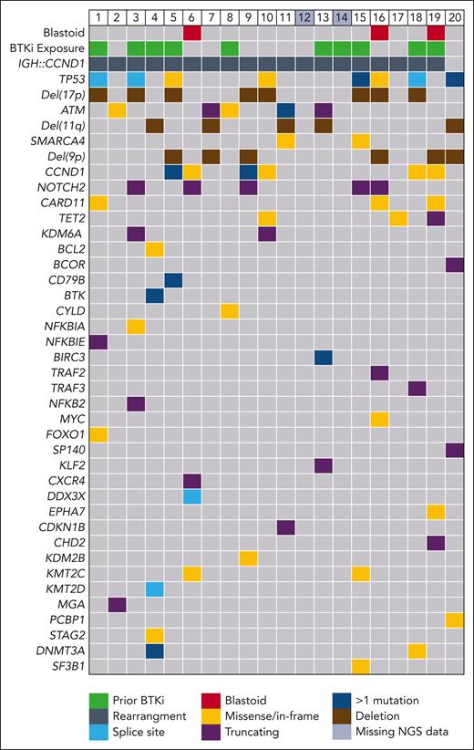 Key MCL-related clinical, pathologic, and genomic characteristics in evaluable patients. Each column represents an individual patient. Relevant genes with abnormalities detected in at least 1 patient (≥5% prevalence) are shown. Colored squares indicate the presence of a genomic abnormality or clinical feature and individual colors the nature of the change. Deletions were detected by a combination of fluorescent in-situ hybridization, or where not available by next-generation sequencing-based copy number analysis. Multihit is defined as the presence of >1 mutations occurring in the same gene in the same sample. Two patients did not have next-generation sequencing data available (patients 12 and 14).