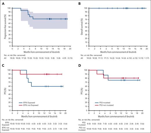Survival outcomes. Kaplan-Meier estimates of PFS and OS in evaluable patients (A-B) and PFS in patients with prior BTKi exposure (C) and patients with TP53 mutated MCL (D).