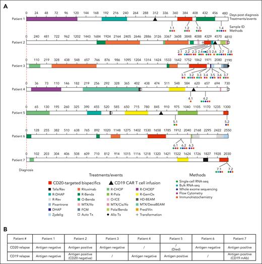 Treatment history and sampling of studied patients. (A) Twenty-eight samples from 7 patients treated with CD20 bispecs, CD19 CAR T cells, or both sequentially were obtained using ultrasound-guided biopsy. The samples were studied using a comprehensive analytical panel including scRNA-seq, bulk RNA-seq, WES, flow cytometry, and IHC. The analytical panel was adjusted according to the amount and quality of available material. The median of prior lines of therapy before CD20 bispecs and CD19 CAR T cells was 4 (range, 3-6) and 4 (range, 2-7), respectively. (B) Table indicating whether therapy relapse from CD19- and CD20-targeting T-cell–redirecting therapies or tafasitamab (CD19 mAb) was associated with antigen loss (antigen negative) or antigen retainment (antigen positive). Forward-slash indicates that a patient was not treated with the respective therapy or response was not assessable. Allo Tx, allogeneic stem cell transplantation; Auto Tx, autologous stem cell transplantation; BEAM, carmustine, etoposide, cytarabine, and melphalan; Benda, bendamustine; CHOEP, CHOP + etoposide; CHOP, cyclophosphamide, doxorubicin, vincristine, and prednisone; Cis, cisplatin; Dexa, dexamethasone; DHAP, dexamethasone, high-dose cytarabine, and cisplatin; FCM, fludarabine, cyclophosphamide, and mitoxantrone; GemOx, gemcitabine-oxaliplatin; HD, high-dose; ICE, ifosfamide, carboplatin, and etoposide; Ifo, ifosfamide; MTX, methotrexate; O, obinutuzumab; Pola, polatuzumab vedotin; Pred, prednisone; R, rituximab; Rev, lenalidomide (Revlimid); Tafa, tafasitamab; Vin, vincristine.