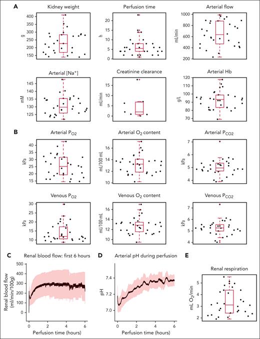 Normothemic kidney perfusion provides comprehensive data on renal function. (A) Data on kidney weight, perfusion time, time-averaged arterial blood flow, arterial Na+, creatinine clearance, and arterial Hb. (B) Analysis of arterial and venous gases. (C) Time course of blood flow for first 6 hours of perfusion. (D) Time course of arterial pH for first 6 hours of perfusion. (E) Renal respiration calculated from blood gases.