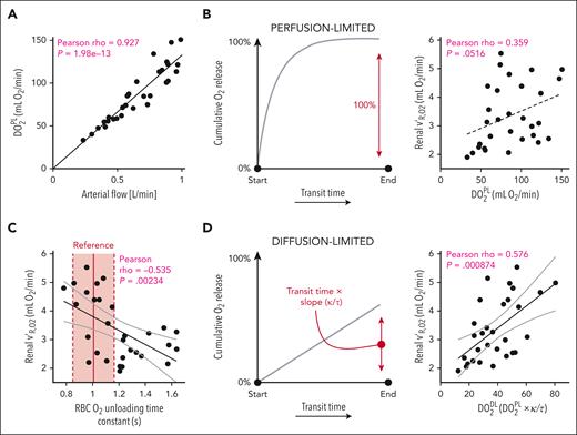 Relating blood-borne O2 delivery with renal respiratory rate. (A) Strong linear relationship between arterial blood flow and arterial oxygen delivery calculated assuming perfusion-limited gas exchange. Statistical testing by the Pearson correlation coefficient. (B) Nonsignificant relationhip between arterial oxygen delivery (DO2PL) and renal respiratory rate (v′R,O2), assuming perfusion-limited transport. (C) Strong, negative correlation between the RBC oxygen-unloading time constant and renal respiration (v'RO2). Reference range (red) determined from reference blood. (D) Strong, positive correlation between arterial DO2 scaled by RBC initial oxygen-unloading rate (κ/τ) to model a diffusion-limited process, and renal respiration.