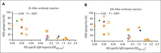 RBC antigen loss and AMIS induction are closely related. C57BL/6 mice were transfused with PKH26+HOD-RBC. Twenty-four hours later, mice received AMIS-inducing antibodies (Table 2), with the HEL-specific IgM response assessed on day 7. Mice injected with PBS instead of AMIS-inducing antibodies were used as a positive control for alloimmunization (100%) (orange asterisk). Correlation between AMIS activity and antigen loss induced at (A) 2 hours and (B) 24 hours was determined by Spearman test. The panel of anti-HOD antibodies assessed included anti-HEL pIgG (solid orange triangle), monoclonal 4B7 (open inverted orange triangle), 2F4 (open inverted red triangle), GD7 (open inverted blue triangle), and a blend of monoclonal (4B7 + 2F4) (filled inverted orange triangle), mouse pIgG anti–OVA at 25 μg (open orange circle), and 50 μg (filled orange circle), rabbit pIgG anti–OVA at 10 μg (filled blue diamond), 25 μg (filled red diamond), 50 μg (filled green diamond), and 75 μg (filled orange diamond), and anti-Duffy antibodies CBC-512 (open orange square), deglycosylated CBC-512 (crossed orange square), MIMA29 (open orange diamond), and deglycosylated MIMA29 (crossed orange diamond).