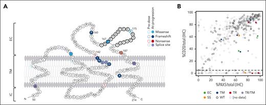 CD20 variants identified by WES before mosunetuzumab and at progression affect CD20 status. (A) Mutations identified in tumor biopsies from patients treated with mosunetuzumab; missense (light blue), frameshift (dark blue), nonsense (red), and splice variants (purple). Predicted epitope for rituximab and obinutuzumab binding is bolded. (B) CD20 levels assessed as the percent CD20+ cells/total nucleated cells relative to PAX5+ cells/total nucleated cells for all biopsy specimens sequenced. Dots represent single samples colored by position and type of variant. EC, extracellular; IC, intracellular; SS, splice site; TM, transmembrane; TR, truncating. Panel A is adapted from Rushton et al.21