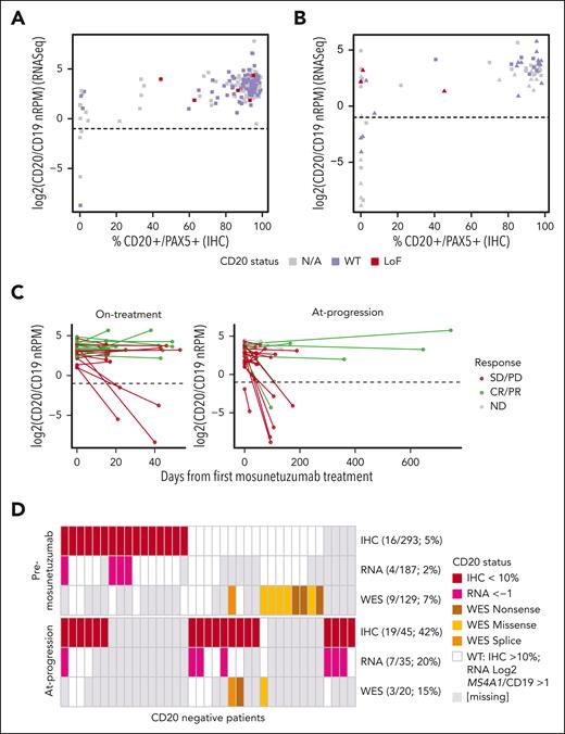 MS4A1 (the gene that encodes CD20) transcript profiling. (A) MS4A1 RNAseq-based expression relative to CD20+PAX5+ protein IHC staining in pre-mosunetuzumab tumor biopsies, and (B) in posttreatment tumor biopsies obtained on treatment (square) vs at progression (triangle). Loss of function (LoF) variants in CD20 identified by WES (red) and WES confirmed CD20 WT (purple). (C) Changes in the levels of MS4A1 in paired tumor biopsy specimens collected on treatment (left) or at progression (right) by best overall response (CR/PR, green; SD/PD, red). (D) Summary samples with multiple CD20 biomarker measurements (IHC, RNASeq, and WES) in samples collected before mosunetuzumab (top) or at progression (ie, at progression and on treatment) (bottom). LoF, loss of function; N/A, not available; nRPM, normalized reads per million.