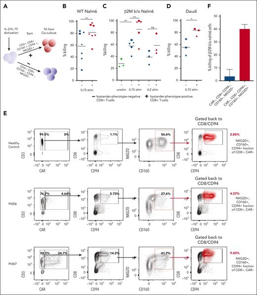 Cytokine-stimulated and patient–derived primary human bystander-phenotype-positive CD8+ T cells are capable of killing leukemia and lymphoma cell lines. (A) Schematic of coculture cytotoxicity assay. Cells were sorted for bystander-phenotype-positive and -negative CD8+ T cells and cocultured with Nalm6, β2M knockout Nalm6, or Daudi cells at effector-to-target ratio of 1:1 for 16 hours. (B) Percentage killing of Nalm6 (n = 7; paired t test) and (C) β2M knockout Nalm6 cells by unstimulated (n = 3; unpaired t test), IL-15 (n = 5; paired t test), and IL-2 (n = 3; paired t test)–stimulated bystander-phenotype-positive and -negative CD8+ T cells. (D) Percentage killing of Daudi cells after coculture with IL15-stimulated T cells sorted for bystander-phenotype-positive and -negative CD8+ T cells (n = 3; paired t test). Experiments were performed in duplicates or triplicates for each donor. Individual donors are represented by the unique symbols in the figure. (E) Frequency of CAR+ T cells and CD8+, CD94+, CD160+, and NKG2D+ CAR-negative T cells (red cluster) were determined by flow cytometric analysis in PBMCs isolated from a healthy donor, as well as from Pt006 and Pt007, with blood drawn 6 to 9 days after CAR T-cell infusion. (F) Percentage killing of β2M knockout Nalm6 cells 16 hours after coculture with bystander-phenotype-positive and -negative CD8+ T cells. This experiment was done with technical triplicates, the mean of all experiments is shown as ± standard error of mean. Stim, stimulated; unstim, unstimulated; WT, wild-type.