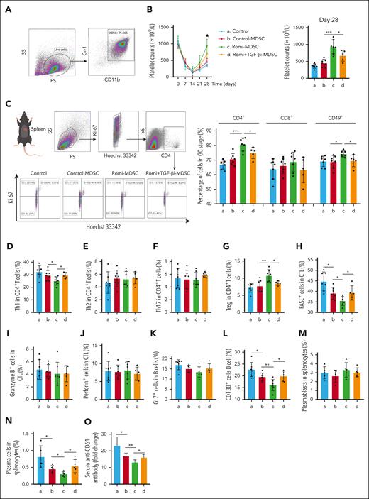 Platelet-associated TGF-β1 enhanced immunosuppressive functions of MDSCs in active-ITP mice. (A) The dot plots of MDSC enriched populations for cell therapy. (B) Platelet counts among the control, control-MDSC, Romi-MDSC, and Romi + TGF-βi–MDSC groups differed significantly on day 28. Immune cells from all the groups were isolated and detected. (C) Representative flow-cytometric plots of cell cycle for CD4+ cells (G0 stage: Hoechst 33342– Ki-67–; G1 stage: Hoechst 33342– Ki-67+; S-G2/M stage: Hoechst 33342+ Ki-67+). Percentage of Th1 (D), Th2 (E), Th17 (F), and Tregs (G) in CD4+ cells. Percentage of FasL+ (H), granzyme B+ (I), and perforin+ CTLs (J). Percentage of GL-7+ B cells (K), CD138+ B cells (L), plasmablasts (M), and plasma cells (N). (O) The level of serum anti-CD61.