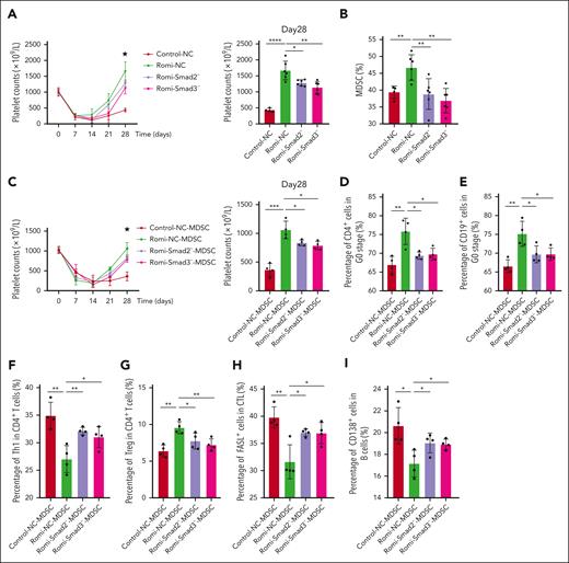 Platelet-derived TGF-β1 induced functional reprogramming of MDSCs in active-ITP mice through Smad2/Smad3. (A) AAV-DJ-SMAD2-GFP-miR30-shRNA, AAV-DJ-SMAD3-GFP-miR30-shRNA with CD11b as the specific promoter, and control AAV were injected into SCID mice through tail vein. Four weeks later, the active model of ITP was established. Platelet counts were detected once a week. (B) Percentage of MDSCs in bone marrow nucleated cells. The proportion of GFP+ cells in MDSCs was 40% to 50%. (C) MDSCs of mice from Control-NC, Romi-NC, Romi-Smad2–, and Romi-Smad3– groups were individually transferred to the new active-ITP murine model. Platelet counts were detected once a week. (D) Percentage of CD4+ cells in G0 stage. (E) Percentage of CD19+ cells in G0 stage. Percentage of Th1 (F) and Tregs (G) in CD4+ cells. (H) Percentage of FasL+ CTLs. (I) Percentage of CD138+ B cells. SCID, severe combined immune deficiency.