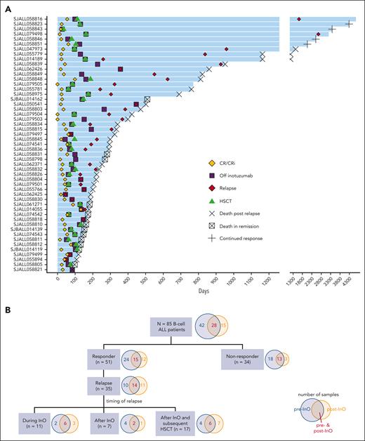 Response to inotuzumab. (A) Swimmer plot for InO responders (n = 51). Each bar represents the start of the InO therapy to the last follow-up. Once attaining CR/CRi, patients were off InO therapy, and 31 responders subsequently received HSCT. (B) Flow chart summarizing the types of samples and the outcome of the patients. CR, complete remission; CRi, CR with incomplete hematologic recovery; HSCT, hematopoietic stem cell transplantation.