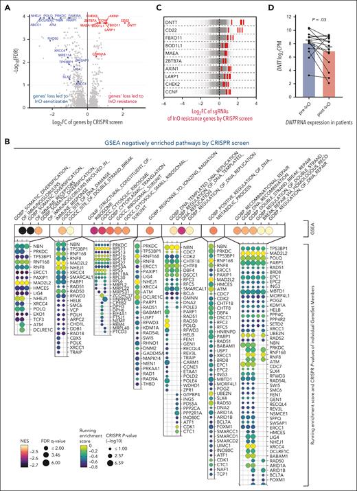 Genome-wide CRISPR/Cas9 screening with InO in the NALM-6 cell line (passage 10). (A) Volcano plots showing InO sensitization (negatively selected, in blue) and resistance (positively selected, in red) genes by CRISPR/Cas9 screening. (B) GSEA of negatively enriched pathways. Magma colors and size of the dots represent the normalized enrichment score (NES) and −log10 false discovery rate (FDR) q-values of the top 20 negatively enriched pathways, respectively. The respective gene set members of each pathway are denoted by a bubble plot. Viridis colors and size of the dots represent running enrichment score and −log10 of CRISPR/Cas9 P value respectively. (C) Log2 FC values of sgRNAs targeting the top 10 InO resistance genes. Each gray line represents an individual sgRNA and the central dotted line represents the median log2 FC of the sgRNAs (∼0). Each red line represents the sgRNA of the target gene. Multiple sgRNAs targeting each of the top 10 genes (including CD22) were significantly enriched by inotuzumab, showing an on-target gene knockout by CRISPR/Cas9. (D) DNTT RNA expression in paired patient samples compared with pre- and post-InO. The plot represents the mean ± standard error of the mean for each group. P = .03 by two-tailed paired t test. Samples belonging to the same patient were connected using lines. CPM, counts per million FC, fold change; GSEA, gene set enrichment analysis; sgRNAs, single-guide RNAs.