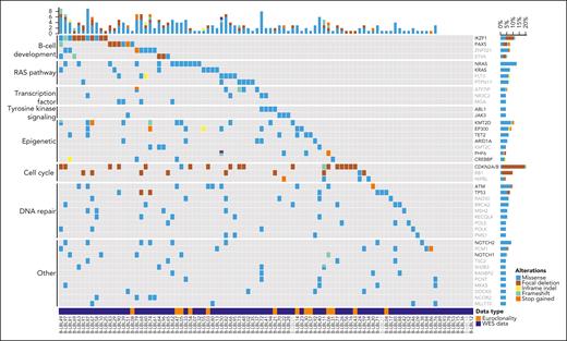 Overview of recurrently mutated genes and pathways in BCP-LBL. Oncoplot showing recurrently mutated and deleted genes in our BCP-LBL cohort based on single-nucleotide variants and small indels. Mutated genes were divided into functional categories, as indicated on the left of the figure. For 80 patients, mutational data was derived from WES analysis (data type, WES). The analysis of the WES data was limited to a selection of 536 genes with known oncogenic potential (see “Methods”). For 13 additional patients, mutational data was derived from the analysis of a limited set of lymphoma-related genes (in black in the gene list) covered by the EuroClonality-NDC capture assay (data type: Euroclonality panel). For samples in gray, focal deletions could not be determined.