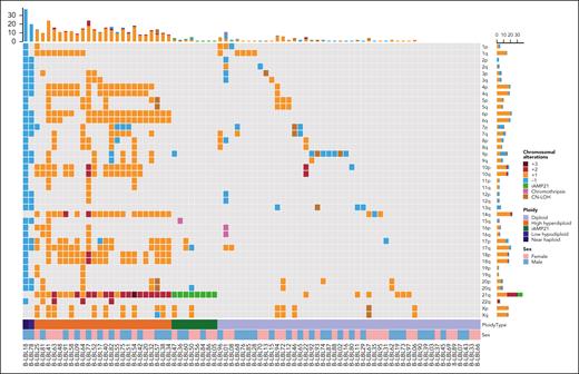 Overview of chromosomal gains and losses in BCP-LBL. Oncoplot showing chromosomal aberrations per chromosomal arm. Different colors represent the number of gains/losses or other chromosomal events.