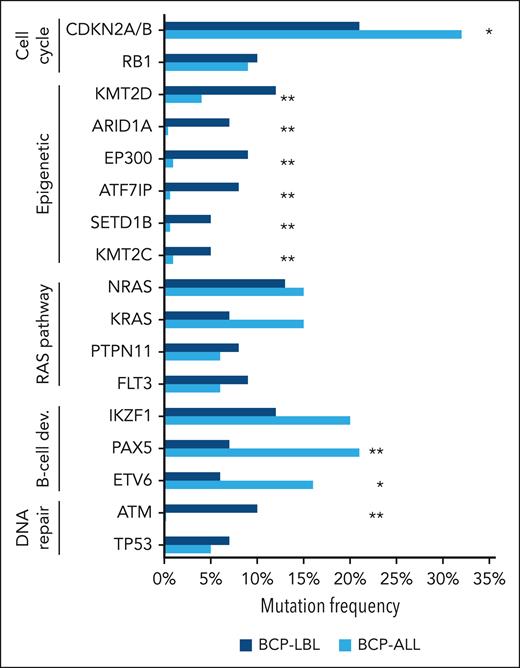 Comparison of the frequencies of gene aberrations and genetic subtypes between BCP-LBL and BCP-ALL. The most frequently mutated genes in the present BCP-LBL cohort were compared with the mutational frequencies of these genes in 608 patients with BCP-ALL by Brady et al.7 The asterisk indicates statistically significant differences between mutational frequency in BCP-LBL and BCP-ALL (∗P < .05; ∗∗P < .005).
