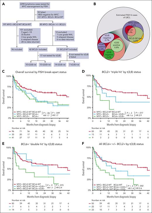 The t(3;8)− subgroup of MYC/BCL6 rearranged cases has an inferior prognosis and constitutes <2% of LBCL. (A) CONSORT flow diagram showing disposition of cases from our FISH database between 2015 and 2023. (B) Euler diagrams showing the estimated frequency, within LBCL, of MYC, BCL2, and BCL6 rearranged cases and t(3;8)+ or t(3;8)− cases. We estimated the denominator of 1997 newly diagnosed LBCL cases in our database by extrapolating from cases with data, according to the following formula: 2298−92−15−(55+55∗28160)−(4+4∗1967239)−(10+10∗1967239)=1997. 2298 FISH-tested cases, 92 failed, 15 of age <18 years, 55 known Burkitt, 28 BCL6-WT cases without data, 160 total BCL6-WT cases of age >18 years with data, 4 confirmed low-grade cases, 1967 all cases without data, 239 cases with diagnosis data, and 10 confirmed relapsed cases. Frequencies according to t(3;8) status include only cases that were tested. (C) Kaplan-Meier curve showing OS for BCL6-WT, BCL2-r BCL6-r, and BCL2-WT BCL6-r cases. (D) Kaplan-Meier curve showing OS for post-2017 BCL6-WT cases and BCL2-r BCL6-r cases according to t(3;8) FISH result. (E) Kaplan-Meier curve showing OS for post-2017 BCL6-WT cases and BCL2-WT BCL6-r cases according to t(3;8) FISH result. (F) Kaplan-Meier curve showing OS for post-2017 BCL6-WT cases and BCL6-r cases according to t(3;8) FISH result, irrespective of their BCL2 genotype. NHL, non-Hodgkin lymphoma.