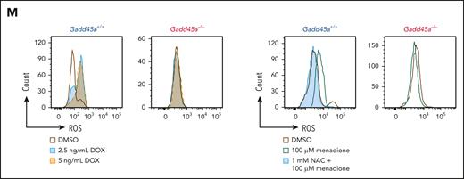 Deletion of Gadd45a enhances oncogenic potential and LSC activity on serial transplantation while inducing mutations. (A) Schematic overview of the experimental procedure. (B-E) Kaplan-Meier mouse survival curves of primary AML (B), secondary AML (C), tertiary AML (D), and quaternary AML (E). Primary AML was generated by transplanting 1 × 106Gadd45a−/− vs Gadd45a+/+ preleukemic cells, induced by MLL-AF9-GFP, into sublethally irradiated C57BL/6 (BL6) recipient mice (n = 6 for each group). Secondary AML, tertiary AML, and quaternary AML were generated by transplanting 1 × 104 GFP+ leukemic bone marrow (BM) cells flow sorted from mice with primary, secondary, and tertiary AML, respectively, into recipient mice (n = 6 for each group). P value was determined by the log-rank test. (F) In vivo limiting dilution transplantation assay showing a 10-fold increase in LSC frequency in Gadd45a−/− vs Gadd45a+/+ mice (1/142 vs 1/1650; P = .00114). LSC frequency was calculated using L-Calc software (StemCell Technologies). Kaplan-Meier survival curves of mice receiving the indicated number of GFP+ leukemic BM cells (n = 6 for each group), and P value was determined by the log-rank test. (G) Scatter plots with a bar graph depicting the percentage of Gr-1-/lowc-Kithigh population in total GFP+ leukemic BM cells from Gadd45a−/− vs Gadd45a+/+ mice (n = 5 for each group). Data are given as mean ± SD. ∗∗∗P < .0005. Unpaired t-test. (H) Stacked bar plots displaying the number of coding mutations identified by whole-genome sequencing (WGS) of Gadd45a−/− vs Gadd45a+/+ LSCs from primary (1st) and tertiary (3rd) AML. Green, yellow, and silver stacked bars represent synonymous, missense, and others (inframe insertion/deletion, frameshit, splice donor variant in coding sequence, start lost, and stop retained/gained), respectively. (I) Distribution of the coding mutations in Gadd45a−/− vs Gadd45a+/+ LSCs from primary AML. (J) Flow cytometry histograms showing decreased intracellular ROS in Gadd45a−/− LSCs compared with Gadd45a+/+ LSCs. (K) The number of colonies following treatment of Gadd45a−/− vs Gadd45a+/+ AML LSCs with dimethyl sulfoxide (DMSO) control or doxorubicin (DOX: 2.5 or 5 ng/mL) for 5 days in methylcellulose (n = 4). Data are given as mean ± SD. ∗P < .05, ∗∗P < .005, ∗∗∗P < .0005; NS, not significant (P > .05). One-way ANOVA. (L) In vivo BrdU proliferation assay with dot plots depicting BrdU+ GFP+ leukemic cells engrafted in the mouse BM at 12 days posttransplantation. Gadd45a−/− or Gadd45a+/+ AML LSCs were pretreated ex vivo with DMSO vs 5 ng/mL DOX for 48 hours, and 1 × 105 treated cells were transplanted into BL6 mice for leukemic cell engraftment and subsequent BrdU proliferation assay. Data are presented as the mean percentage relative to DMSO ± SD (n = 5 mice per group). ∗∗∗∗P < .0001; NS, not significant (P > .05). Unpaired t-test. (M) Flow cytometry histograms showing intracellular ROS levels in Gadd45a−/− vs Gadd45a+/+ AML LSCs treated with DMSO vs DOX (2.5 or 5 ng/mL) for 5 days, or pretreated with 1 mM N-acetylcysteine (NAC) for 1 hour, followed by treatment with 100 μM menadione for an additional 1 hour.