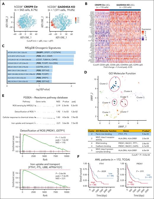 Coupling single cell RNA-sequencing (scRNA-seq) with cellular indexing of transcriptomes and epitopes by sequencing (CITE-seq) on AML PDX cells reveals an increased proportion of LSCs and identifies genes/pathways upregulated by GADD45A deletion at a single stem cell level. (A) t-distributed stochastic neighbor embedding (T-SNE) clustering of CITE-seq data showing human CD34+ LSC-enriched subpopulations (in red) with GADD45A KO (n = 1511 cells, 19.6%) vs CRISPR Ctr (n = 542 cells, 8.7%) in the bone marrow (BM) of PDX mice. Cutoff: minimum = q85 and maximum = q97 (q stands for quantile). (B) Heat map of integrated CITE-seq data analysis identifying 43 differentially expressed genes (DEGs) upregulated in GADD45A KO PDX LSCs (n = 233 cells), compared with CRISPR Ctr LSCs (n = 110 cells). The LSC compartment (CD34+CD38–CD45RA+CD90–) was defined by a stringent cutoff of CD34 > q85, CD38 < q50, CD45RA > q65, and CD90 < q65. Wilcoxon rank-sum test, fold change > 1.4, and adjusted P value with Benjamini-Hochberg method < 0.05. (C) Bar chart showing the top 9 enriched cancer-associated pathways from MSigDB oncogenic signatures, along with their corresponding P values and associated DEGs. (D) Scatter plot showing Gene Ontology (GO) function enrichments of the DEGs upregulated in GADD45A KO LSCs, compared with CRISPR Ctr LSCs. Clusters were computed using the Leiden algorithm, and similar gene sets were clustered together. Larger, black-outlined points represent significantly enriched terms. Points are plotted on the first 2 UMAP dimensions. The table lists enriched gene sets with P < 8.0e-04 and associated DEGs. (E) Fast preranked gene set enrichment analysis (FGSEA) of CITE-seq data (cutoff: adjusted P < 0.05 and NES > 1.8) identifying GADD45A loss-induced enrichment of gene sets associated with ROS sensing by NFE2L2, detoxification of ROS, cellular response to chemical stress, and iron uptake and transport, on GADD45A knockout in human AML PDX cells. (F) Kaplan-Meier curves of overall survival for 172 patients with AML, as stratified by expression levels of FTH1 (P = .0039) and PRDX1 (P = .019) in TCGA dataset.
