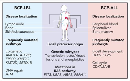 Overview of similarities and differences between pediatric BCP-LBL and BCP-ALL. Professional illustration by Patrick Lane, ScEYEnce Studios.