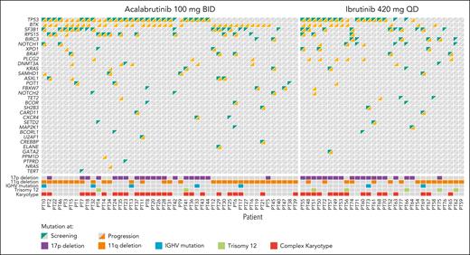 Mutations by treatment arm. BID, twice daily; QD, once daily.