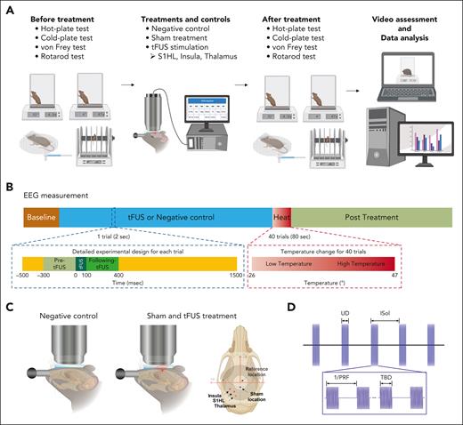 Experimental design. (A) Schematic of behavioral experimental setup comprises various behavioral tests, tFUS stimulation with multiple control groups, and video assessment with subsequent data analysis. Nocifensive reactions to heat, cold, and mechanical stimuli, as well as motor performance, were recorded and evaluated to investigate the effects of tFUS stimulation at different brain locations, including S1HL, insula, and thalamus. (B) Study design for EEG measurements measurements were designed to examine both intrinsic brain activity and heat stimulus–evoked brain activity along with tFUS stimulation. (C) Control experiments were conducted to determine the specificity of the modulatory effect to tFUS stimulation at a particular brain circuit, the effects of negative control (no tFUS stimulation, maintaining experimental procedures) and sham treatment (applying tFUS to a control brain structure near the targeted brain location) were examined. (D) tFUS parameters involved customizing the 128-element random array transducer to steer ultrasound focus. Targeted brain structures were subjected to tFUS with specific parameters, including a fundamental frequency of 1.5 MHz, TBD of 200 μs, PRF of 40 Hz and 3 kHz, ultrasound duration (UD) of 100 and 400 milliseconds, intersonication interval (ISoI) of 2 and 4 second, and total sonication time of 10 minutes, 20 minutes, and 1 hour.