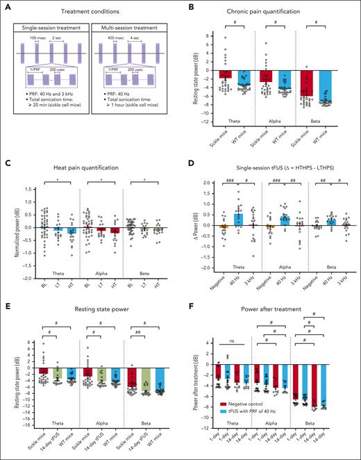 Modulation of heat stimulus–evoked brain activity and chronic pain resting state in female HbSS-BERK mice. (A) The single- and multisession tFUS treatment conditions used in EEG study. (B) Chronic pain quantification in brain rhythms at rest, showing a broadband increase of oscillations from theta to beta frequencies in female HbSS-BERK mice (n = 8) compared with female wild-type mice (n = 8). #P < .05 using t test with Mann-Whitney test. (C) Heat pain quantification in brain oscillations from the negative control group. HTHPS but not LTHPS resulted in a significant decrease in theta, alpha, and beta power in the contralateral brain region of S1HL in HbSS-BERK mice (n = 8). Note the temperature categories: baseline (BL), low temperature (LT; 26.2 ± 0.2°C < T ≤ 36.2 ± 0.2°C), and high temperature (HT; 38.9 ± 0.2°C < T ≤ 46.4 ± 0.1°C). ∗P < .05 using t test with Wilcoxon signed rank test. (D) Differences (Δ) of oscillatory power during normalized HTHPS and averaged normalized LTHPS. Post-tFUS with a PRF of 40 Hz, but not 3 kHz, at S1HL induced a significant increase in Δ power from theta to beta frequencies (n = 8), contrasting the heat pain–related EEG pattern. #P < .05, ##P < .01, ###P < .001 using t test with Mann-Whitney test. (E) Multisession tFUS at S1HL induced a significant decrease in power from theta to beta frequencies (n = 5), showing a remarkable difference from the power of untreated HbSS-BERK mice while being similar to the power of wild-type mice. #P < .05, ##P < .01 using t test with Mann-Whitney test. (F) At 80 seconds after heat stimulus at hind paw, power in alpha and beta frequencies was significantly suppressed by multisession tFUS with a PRF of 40 Hz but not by single-session tFUS with a PRF of 40 Hz (n = 8 for single-session tFUS and n = 4 for multisession tFUS). #P < .05 (t test with Mann-Whitney test). ns, not significant.