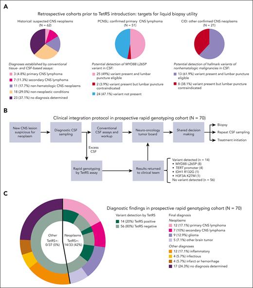 Clinical integration of rapid CSF genotyping for diagnosis of suspected CNS neoplasms. (A) Retrospective patient cohorts from before rapid genotyping introduction were included in this study to serve as benchmarks for diagnostic trajectories of CNS neoplasms and potential for detection of hallmark variants in CSF. Diverse neoplastic and nonneoplastic diagnoses were encountered in 62 patients with new CNS lesions with radiographic suspicion for neoplasms (historical cohort, left panel). Among 52 patients with PCNSL (PCNSL cohort, middle panel) and 21 patients with nonhematologic CNS malignancies (CID cohort with known variants present in diagnostic biopsy site tissue, right panel), analyzing variant status and safety of lumbar puncture revealed the maximum proportion of patients with potentially detectable variants in CSF. (B) Prospective clinical workflow for returning TetRS rapid genotyping assay results to providers during real-time diagnosis of suspected CNS neoplasms. Excess CSF was used to perform the TetRS assay in a research laboratory setting. Results were reported to the clinical team, who then included them in tumor board discussions and collaborative treatment decisions with patients. Conventional CSF assays included chemistries, cell counts, cytology, flow cytometry, cultures, microbiologic, serologic (antibody), and antigen testing. (C) The categories and proportions of final diagnoses secured in the 70 patients in the rapid genotyping cohort. The inner circles adjacent to each final diagnosis display the detection of variants in CSF by TetRS.