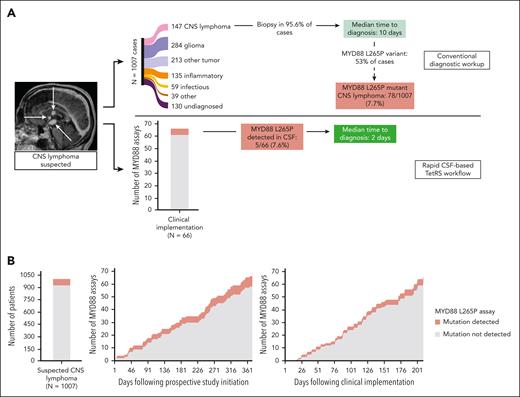 Clinical implementation of rapid genotyping of cell-free DNA in CSF accelerates diagnosis of CNS lymphoma (CNSL). (A) Analysis of a historical cohort of 1007 patients with new CNS lesions of unknown cause for which CNSL was in the differential diagnosis showed that only 14.7% are ultimately diagnosed with CNSL. Securing a CNSL diagnosis required 95.6% of patients to undergo neurosurgical biopsy, resulting in a median time to diagnosis of 10 days (top pathway, adapted from Gupta et al2). Because 53% of CNS lymphoma cases in our institutional experience were positive for the MYD88 L265P variant (Figure 1), we estimated that 7.7% of the initial cohort would harbor this variant. Following clinical implementation of the Clinical Laboratory Improvement Amendments–certified cell-free DNA assay, a similar percentage of CNSL bearing the MYD88 L265P mutation was identified, with a median turnaround time of 2 days (bottom pathway). (B) The rate of accrual of CSF specimens was 1 sample/5.3 days in the prospective rapid genotyping cohort (middle panel) vs 1 sample/3.2 days following clinical implementation (right panel) (P = .002). The frequency of MYD88 L265P detection in these study populations was 8 of 70 patients (11.4%) and 5 of 66 patients (7.6%), respectively, similar to the 78 of 1007 patients (7.7%) found in the historical cohort (left panel).