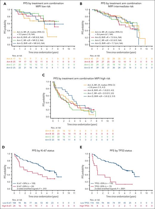 Progression-free survival (PFS) by risk factors. PFS by overall treatment arm by MIPI (A-C). In patients with tissue available to study: by Ki-67 at 30% cut-off (D) and by TP53 immunohistochemistry at 50% cutoff (E).