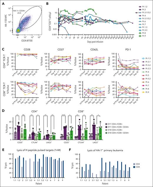 Persistence, phenotype, and function of TCR-T after infusion. (A) HA-1 TCR-T by MFC in a representative patient 18 days after infusion indicating CD34 tag and HA-1 TCR dextramer staining. (B) Peripheral blood CD3+CD34+ HA-1 TCR-T (cells per μL) over time across all patients (n = 9) at dose level (DL) 1 (purple), DL2 (blue), and DL3 (green). Note: Infusion 3.3 was delivered at the time of ∼80% BM blasts, and the massive and rapidly increasing tumor burden likely induced T-cell death. (C) TCR-T phenotype by MFC on gated CD34+ cells for CD4 and CD8 infusion products and recipient blood. (D) Activation/inhibition markers on gated CD34+ cells and bulk CD4+ and CD8+ T cells on days 11 (purple) and 18 (green) after infusion. Error bars show mean and standard deviation. Statistics determined by paired t test (2-sided P value ∗P < .05, ∗∗P < .01; ∗∗∗∗P < .0001). (E-F) Lysis in a chromium release assay of HA-1 peptide–pulsed (1nM) T2 cells (E) or HA-1+ primary AML (F) at an effector:target ratio of 20:1 by HA-1 TCR-T recovered from recipient blood after infusion. CD4 (light blue bars) and CD8 (dark blue bars) TCR-T were sorted from patient blood at approximately day 32 after infusion and expanded with anti-CD3 monoclonal antibody and IL-2 and sorted by MFC before the functional assay. The patient and infusion numbers are indicated by 1.1, 1.2, etc. Absence of a bar indicates that data were not available (eg, no CD8+ HA-1 TCR-T were successfully isolated and expanded from patient 3).