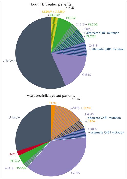 In this study, mutational profiling was performed on paired samples from patients with relapsed or refractory CLL who were treated with covalent BTKis (ibrutinib or acalabrutinib) in the ELEVATE-RR study. Here we can see the distribution of BTK and B-cell receptor pathway mutations that developed during treatment with ibrutinib or acalabrutinib.
